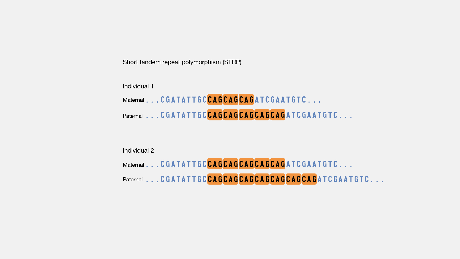 Tandem-repeat